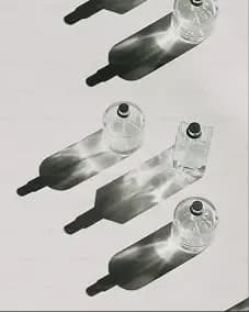 Magnam doloremque recusa sandae dolores